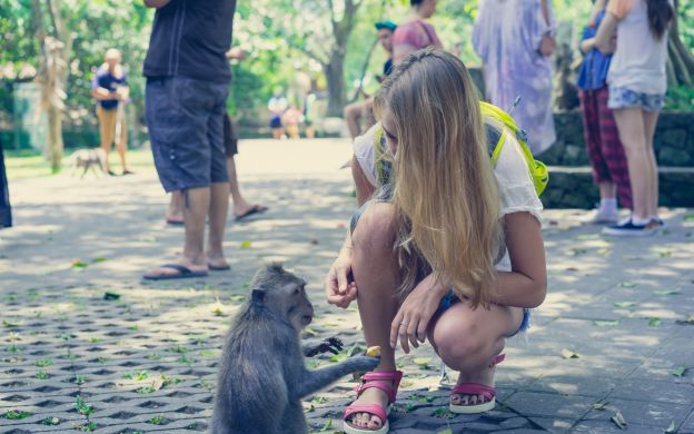 Vẻ đẹp của Bali: Tour tham quan Rừng khỉ Ubud bí ẩn và Công viên voi Taro